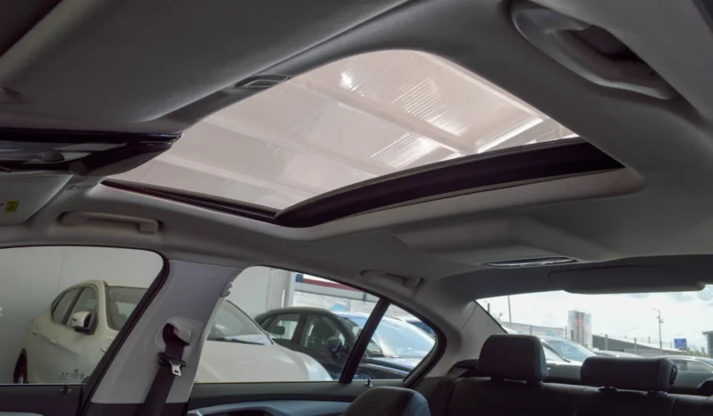 
								BMW Seria 5 520e Aut. Luxury Line full									