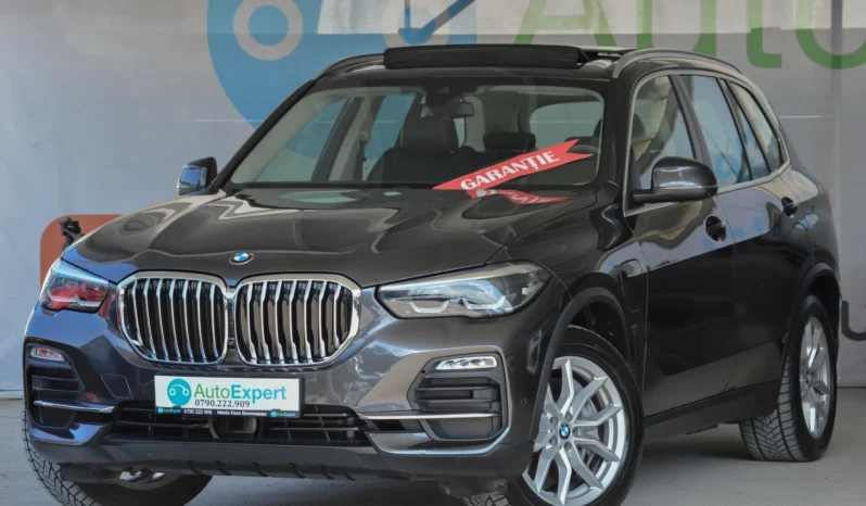 
								BMW X5 xDrive45e xLine full									
